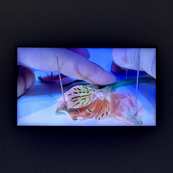 From Self to Others: What do young Hong Kong artists have in mind?